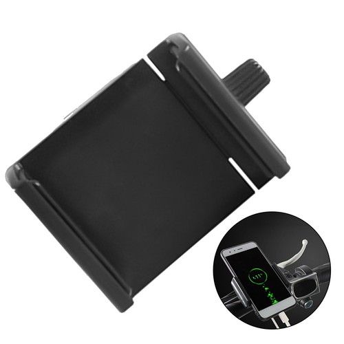 Electric bicycle mount - electric,